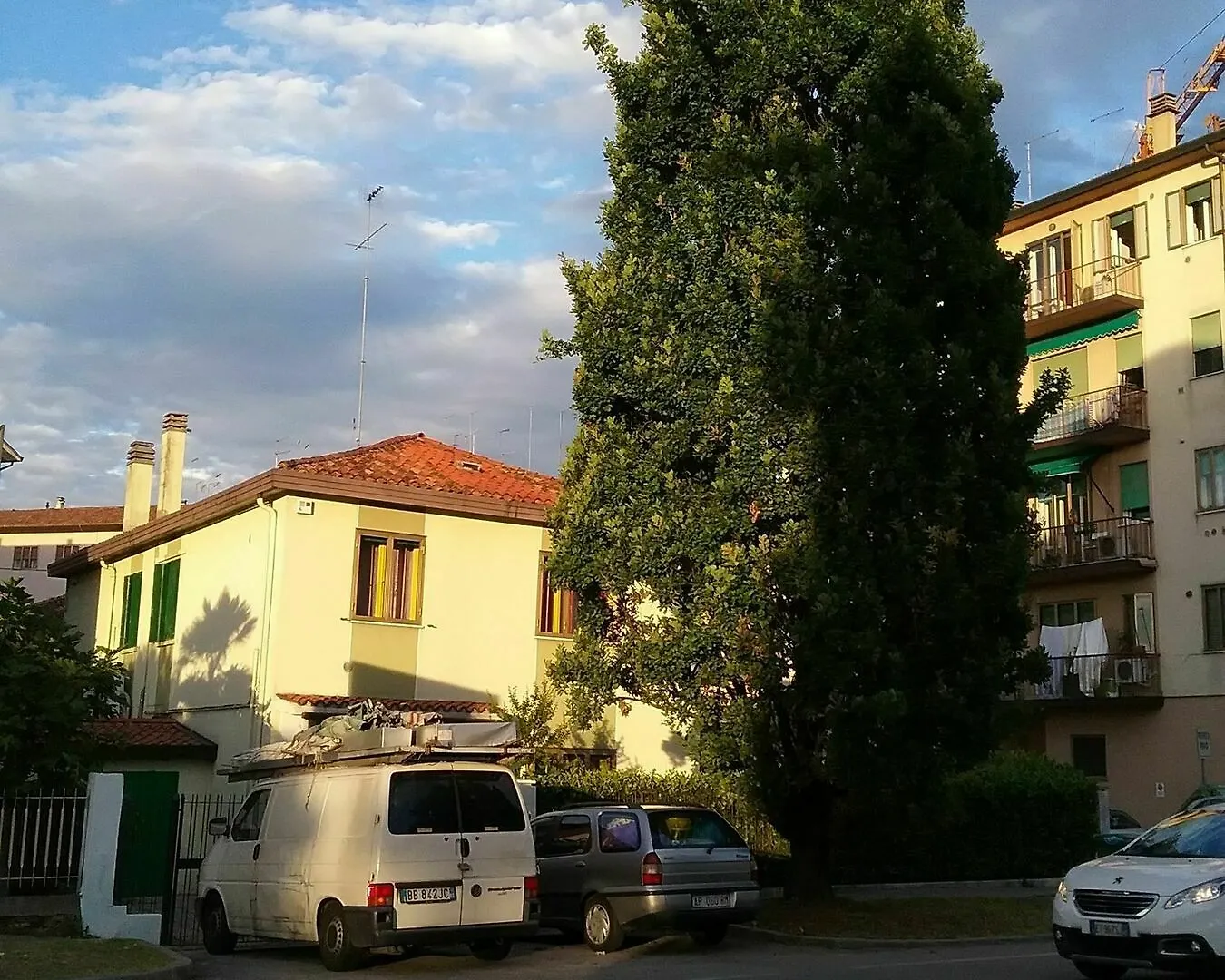 Ever Green Mestre